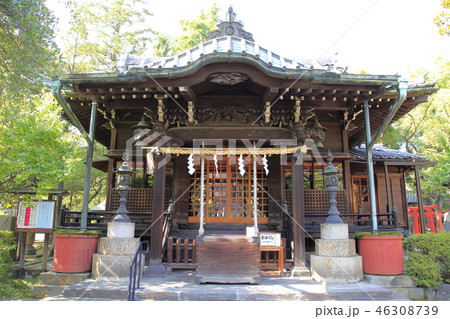 三囲神社（みめぐりじんじゃ）　東京都墨田区向島 46308739