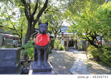 三囲神社（みめぐりじんじゃ）　東京都墨田区向島 46308743