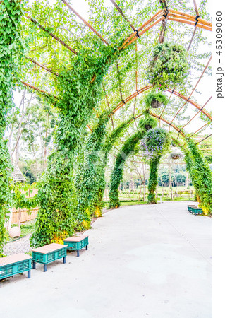 公園 パーク 園 46309060