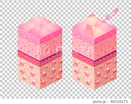 Image of subcutaneous tissue Image of subcutaneous tissue 46310273