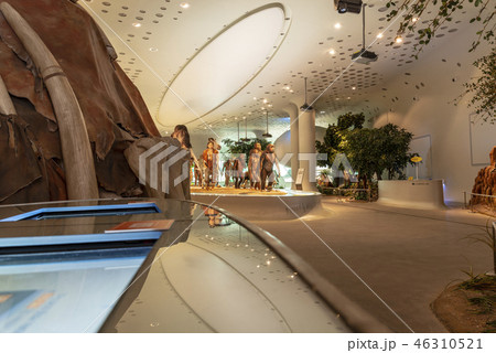 歴史 古代 展示 46310521