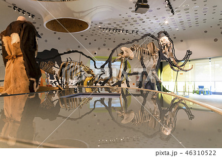 歴史 古代 展示 46310522