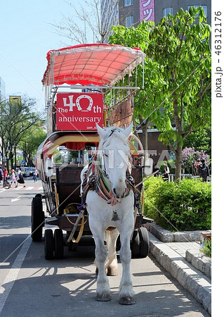 札幌観光馬車 46312176