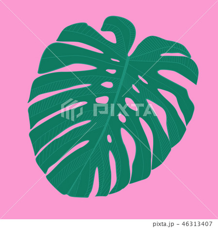 Abstract tropical monstera leaf. Vector Illustration Abstract tropical monstera leaf. Vector Illustration 46313407