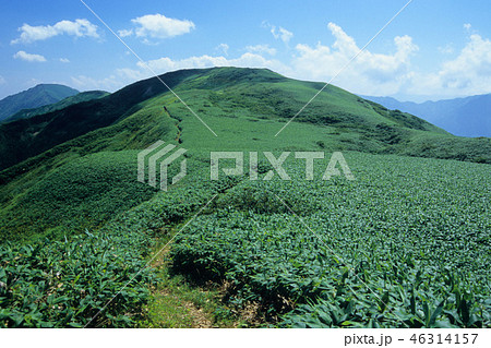 越後丹後山 46314157