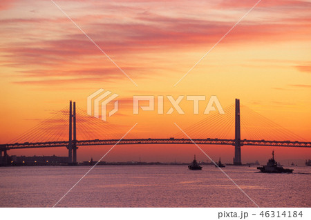 暁のベイブリッジ 46314184