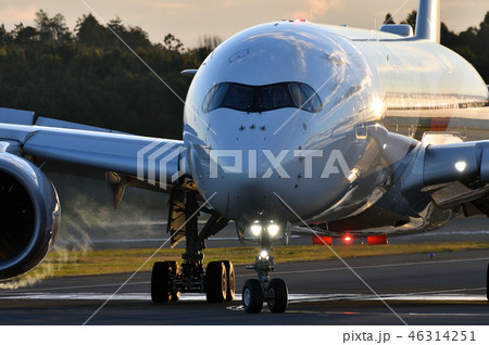 タキシング 46314251