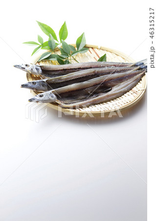 秋刀魚の開き11 46315217