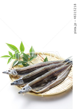 秋刀魚の開き12 秋刀魚の開き12 46315218