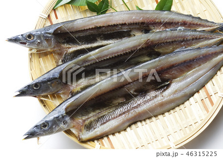 秋刀魚の開き19 秋刀魚の開き19 46315225