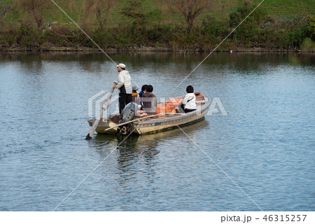 矢切の渡し 46315257