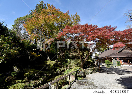 秋の吉野山　吉水神社庭園 46315397