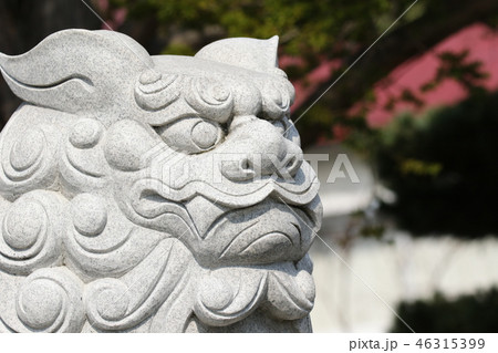 神社の狛犬 神社の狛犬 46315399