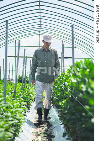 農業　男性 46315699
