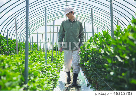 農業　男性 46315703