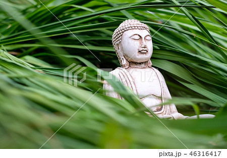 Small white Buddha statue in a meditation pose on long green grass background. Religious symbol of 46316417