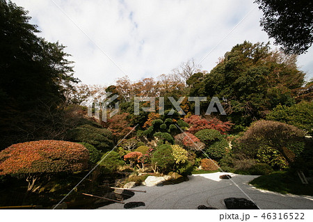 鎌倉 報国寺 Hokokuji Temple 鎌倉 報国寺 Hokokuji Temple 46316522