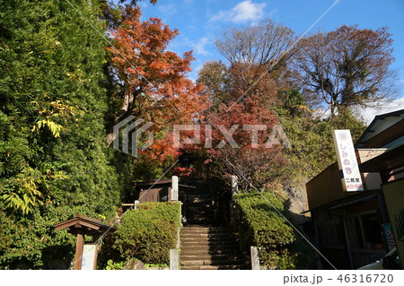 鎌倉　杉本寺  Sugimoto-dera Temple 46316720