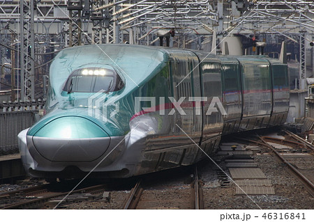 東北新幹線E5系（単独） 46316841