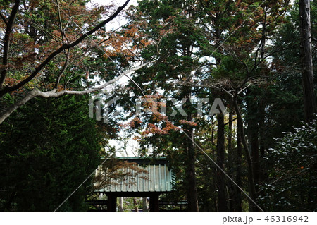 鎌倉　寿福寺 Jufukuji Temple 46316942