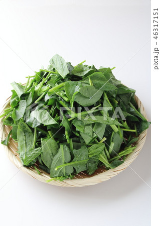 ほうれん草の切り分け 46317151