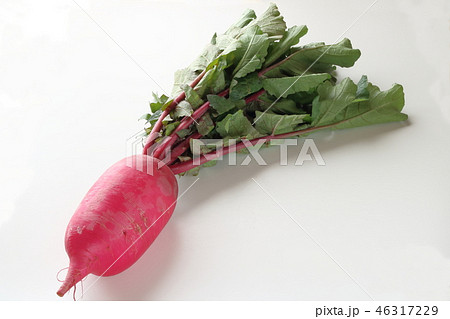 サラダ大根 46317229
