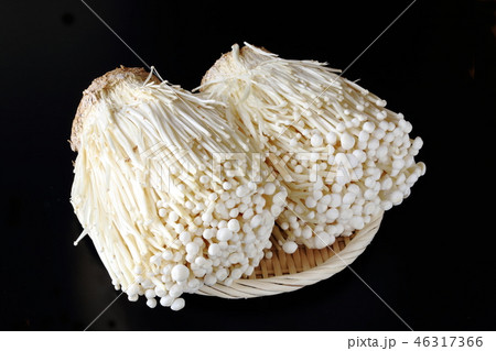 エノキ茸 46317366