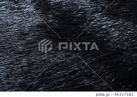 ハラコ　皮革 46317382