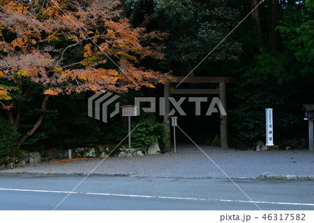 伊勢　月讀宮　紅葉 46317582