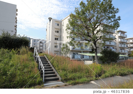 千里ニュータウン 千里ニュータウン 46317836