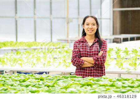 Asian woman farmer in vegetable hydroponics farm Asian woman farmer in vegetable hydroponics farm 46318129