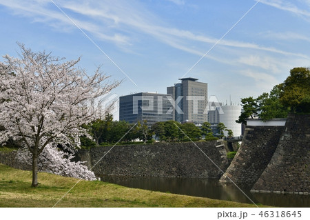 皇居乾通り通り抜けの桜 46318645