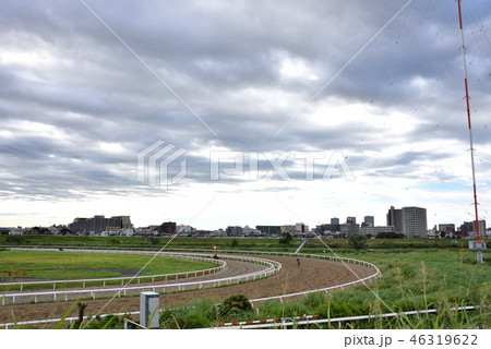 多摩川河川敷・競走馬練習場 多摩川河川敷・競走馬練習場 46319622