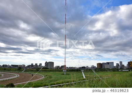 多摩川河川敷・競走馬練習場 多摩川河川敷・競走馬練習場 46319623