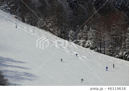 ゲレンデ 46319638