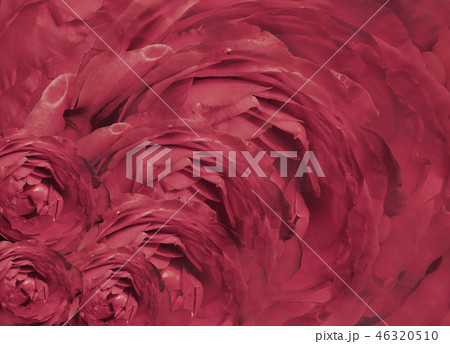 Floral pink beautiful background. Floral pink beautiful background. 46320510