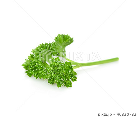 parsley isolated on white background 46320732