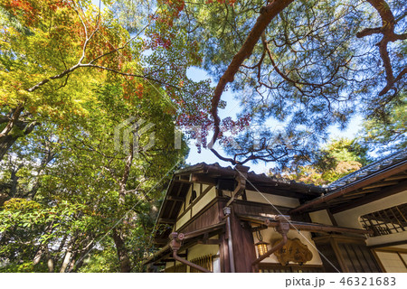 紅葉の殿ヶ谷戸庭園 紅葉亭の風景 46321683