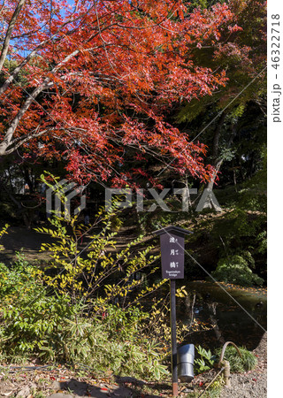 六義園 渡月橋の風景 46322718