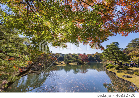 六義園 渡月橋からの眺め 46322720