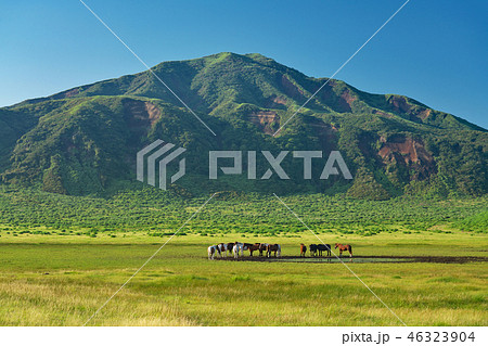 【阿蘇山 草千里ヶ浜】 熊本県阿蘇市草千里ケ浜 46323904