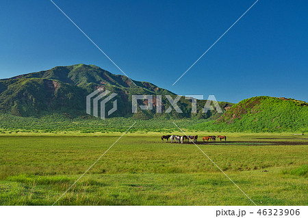 阿蘇山 草千里ヶ浜 熊本県阿蘇市草千里ケ浜の写真素材