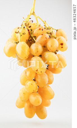 Fresh grapes isolated Fresh grapes isolated 46324657
