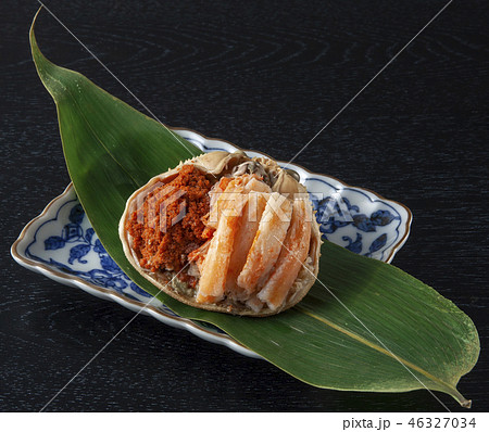 セイコガニ 46327034