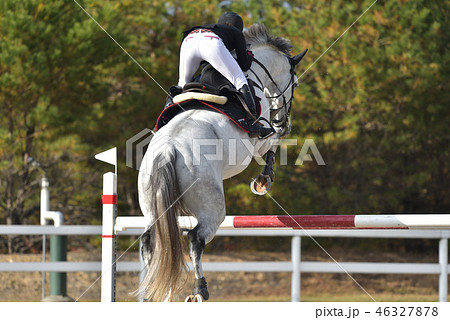障害馬術大会　本番前の調整風景 46327878