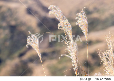 火山 火口 日本 46327900