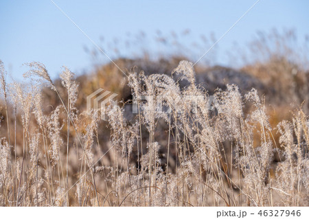 火山 火口 日本 46327946