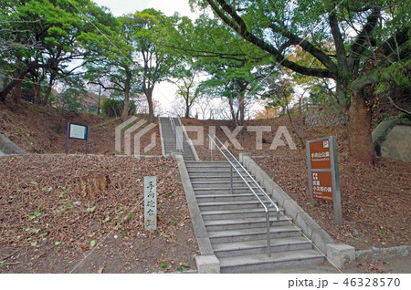 手向山公園 46328570