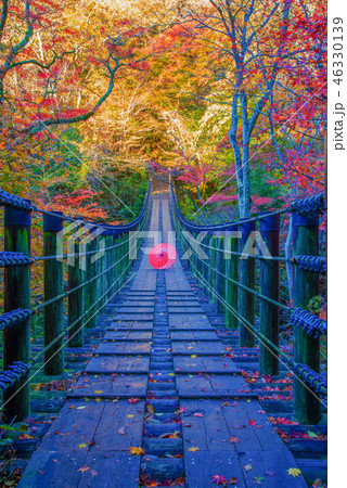 花貫渓谷 花貫渓谷 46330139