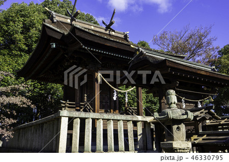 倉敷　阿智神社　本殿 46330795